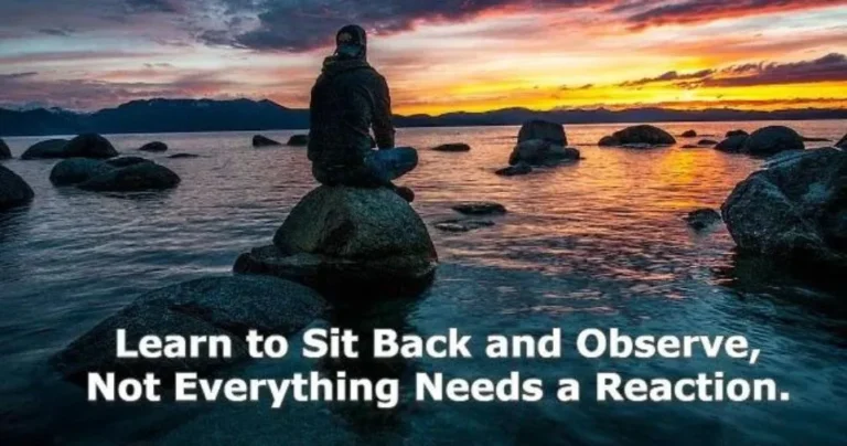 Learn to Sit Back and Observe. Not Everything Need – Tymoff